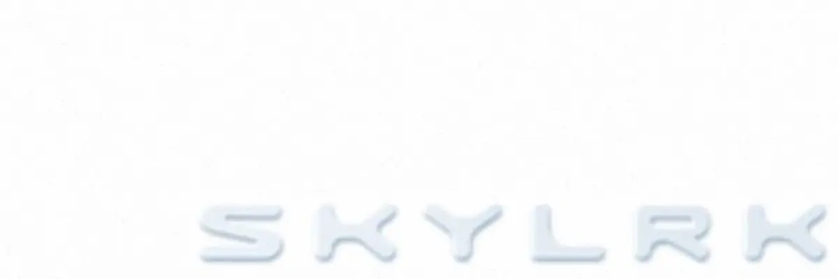 User's X banner image