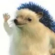 Alfaj0rricolino