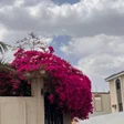 2reem_ree