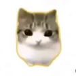 schizomogging