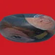 HowlingDonut0