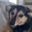 srmytt